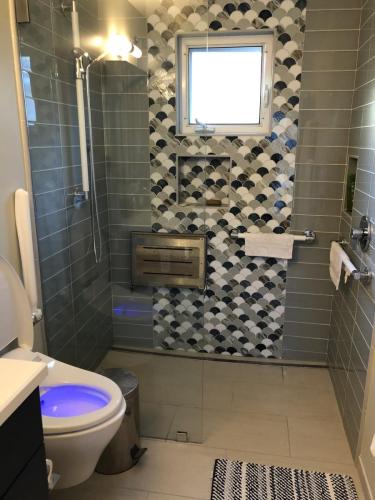 Millbrea-Park-Ave-ADA-Hall-Bathroom